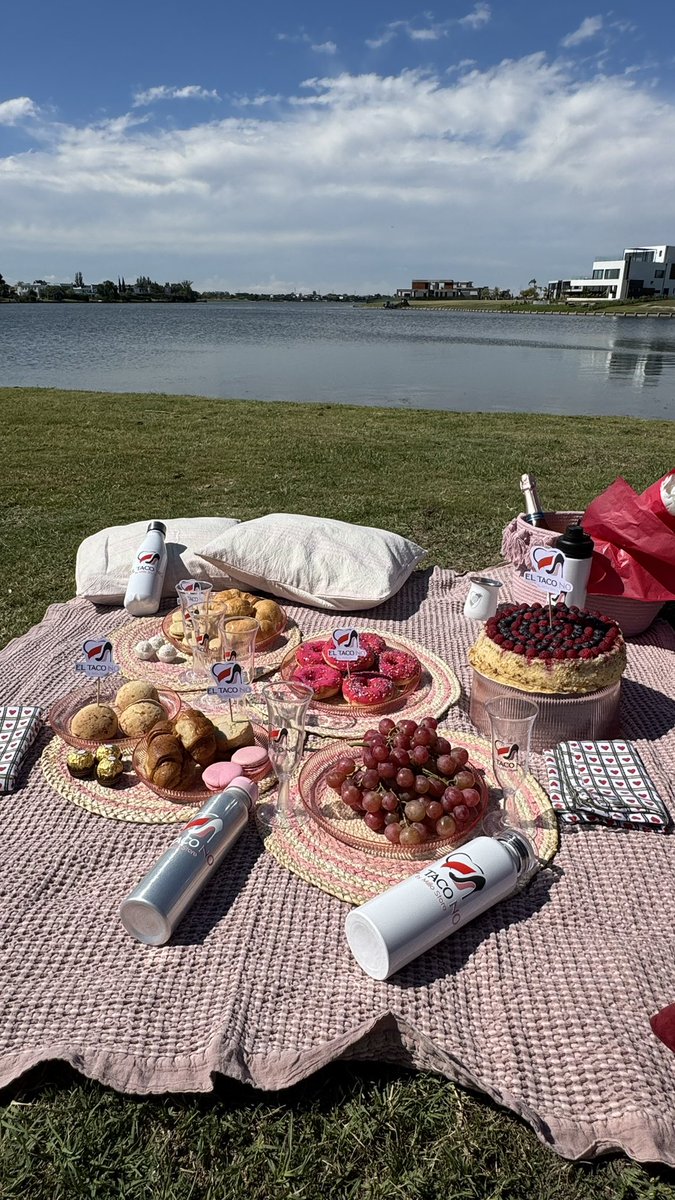 elisabeth stigar tweet media