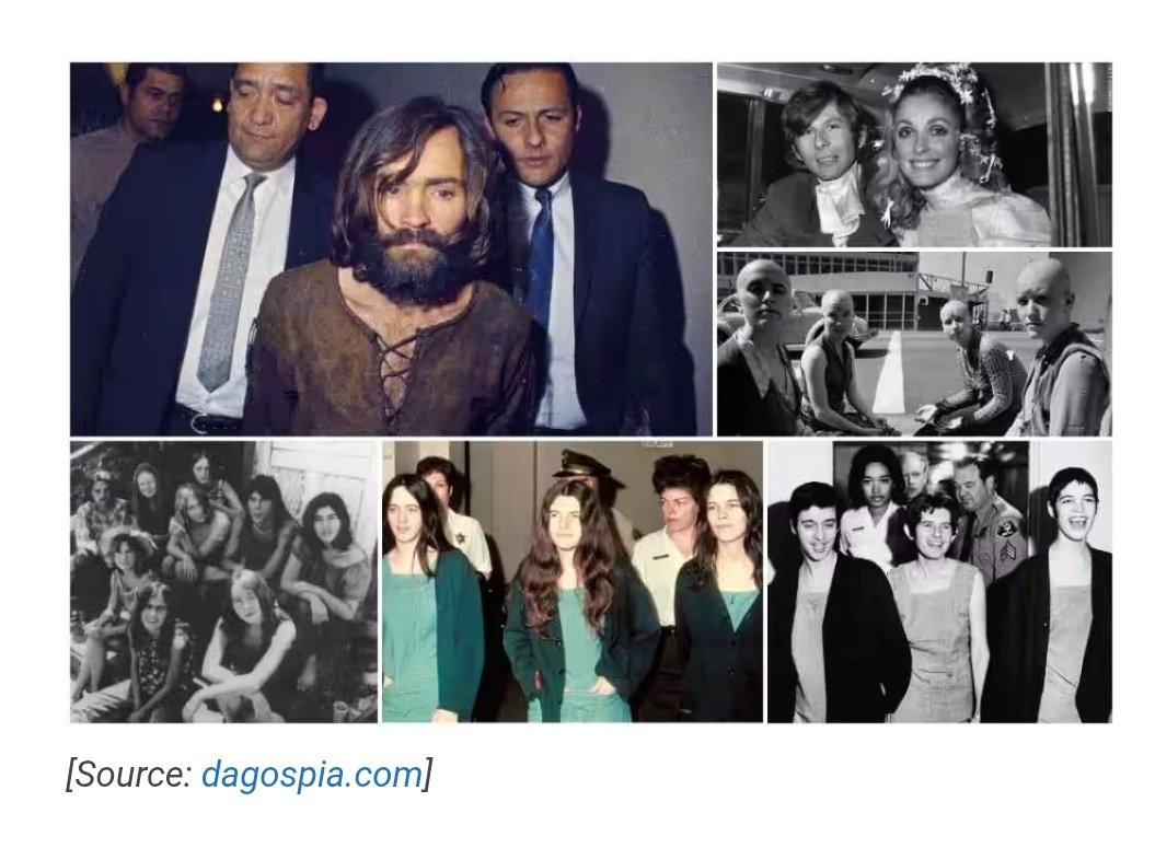 M. C. Armstrong tweet media