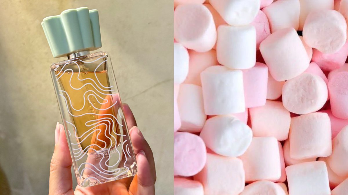 sekar 🌻 tweet media