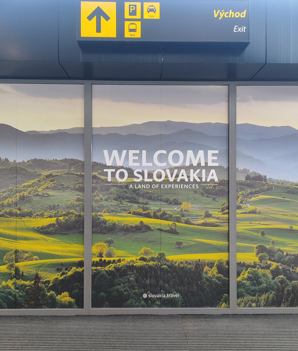 Luis Chicott tweet media