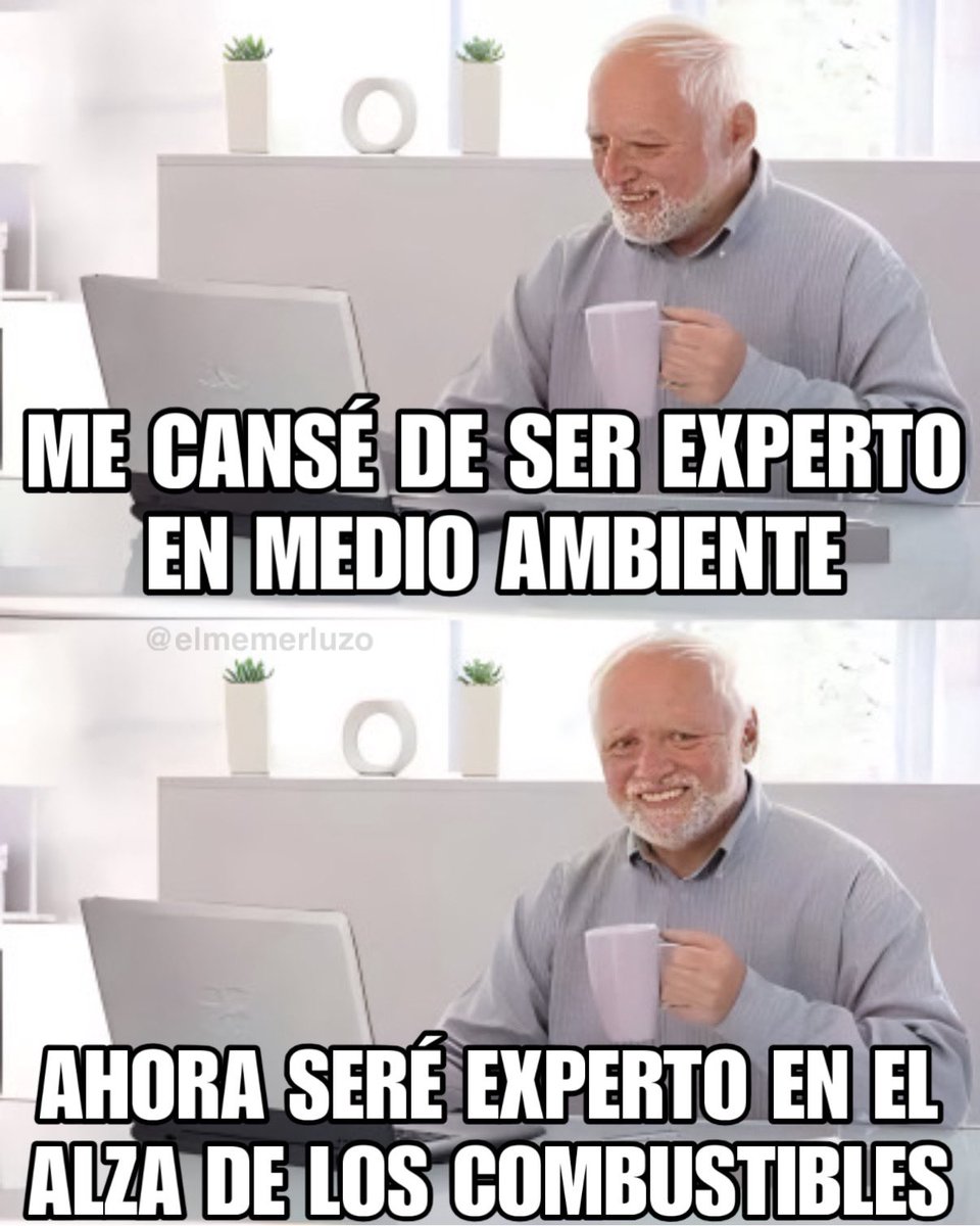 Memerluzo 58% 🖐️🇨🇱 tweet media