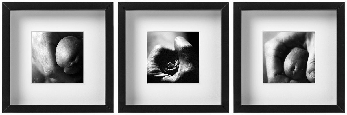 Dmytro Komissarenko tweet media