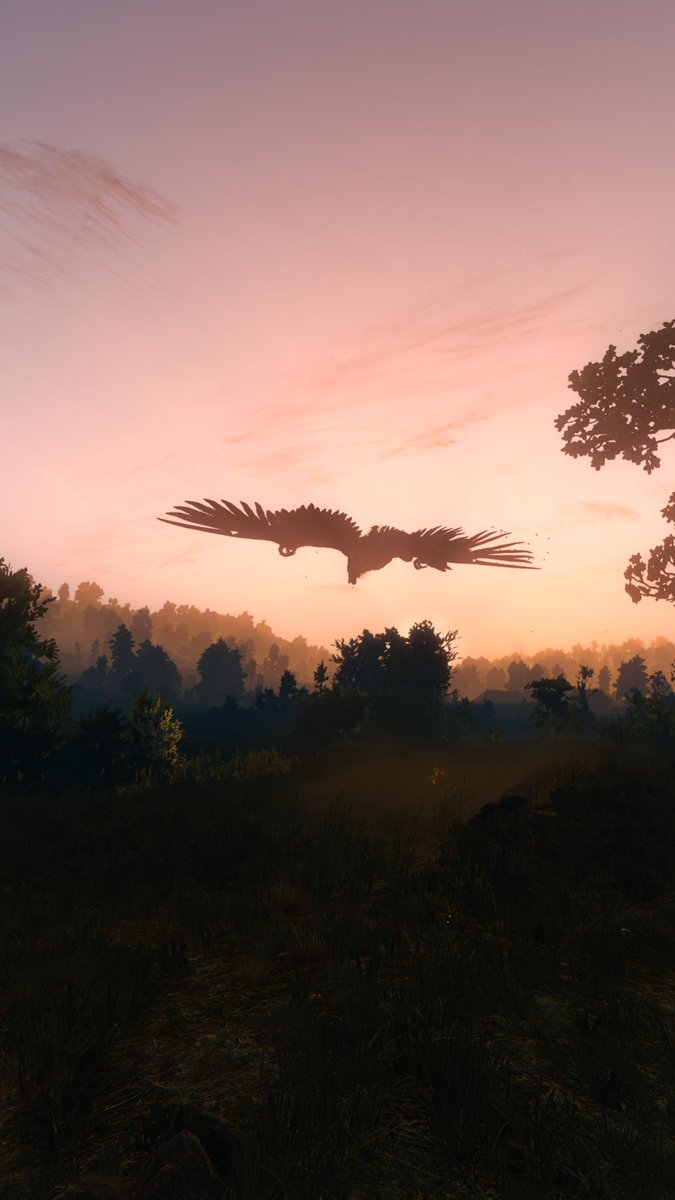 Y_wrath_games's tweet photo. Game: #TheWitcher3  
 
#TheWitcher #TheWitcher3NextGen #ThePhotoMode #VirtualPhotography #TheCapturedCollective #VPWorld #ukrVP #TPMNature https://t.co/ztqRkLaSuM