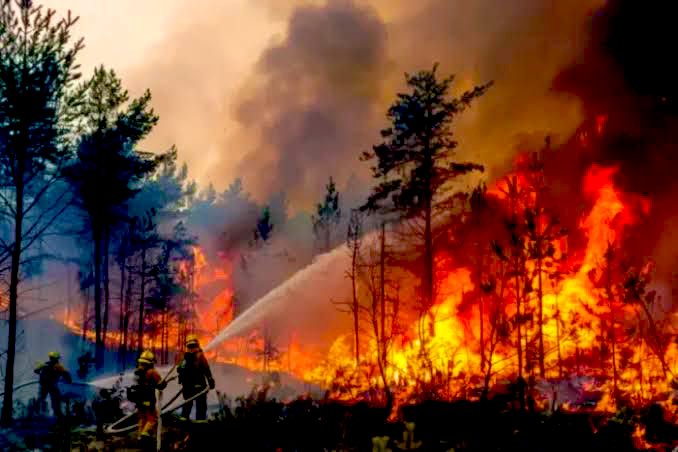 Joaquin Teixeira tweet media