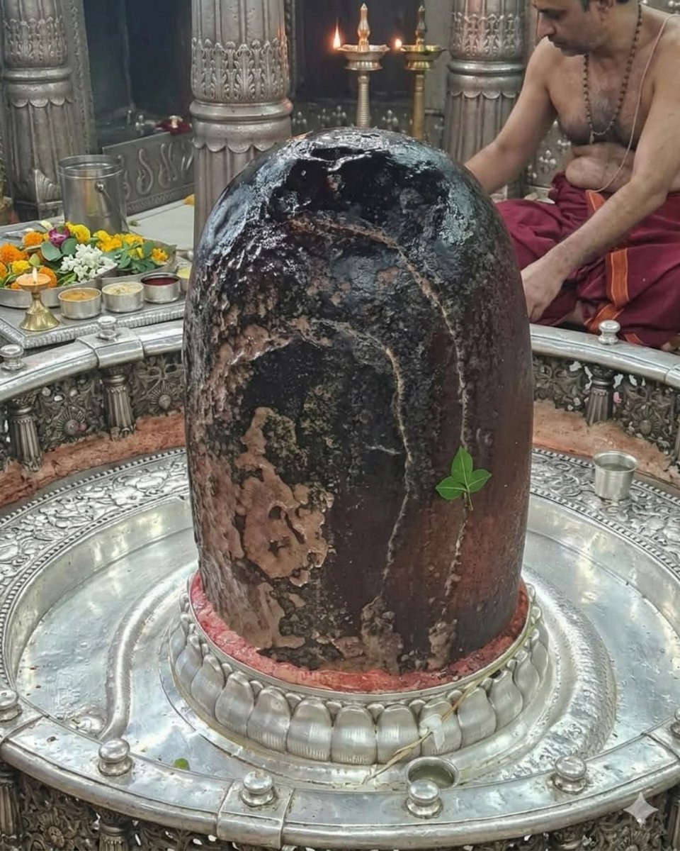 Subhash LP Shukla tweet media