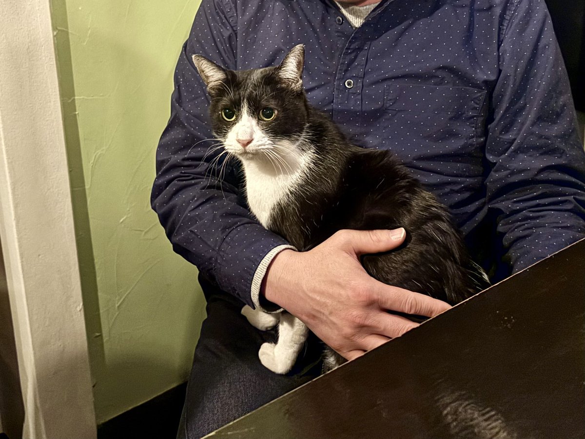 熱海 Muddy Cat tweet media