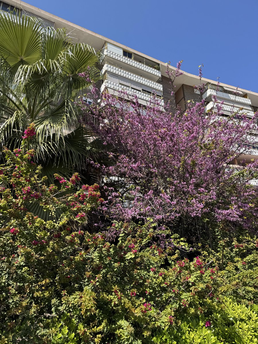 🌈 святилище декаданса🍷 tweet media