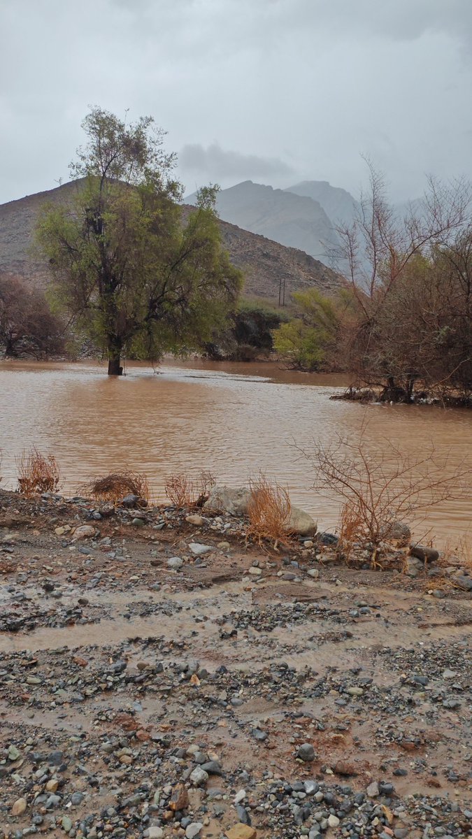 محبة الخير❤️ tweet media