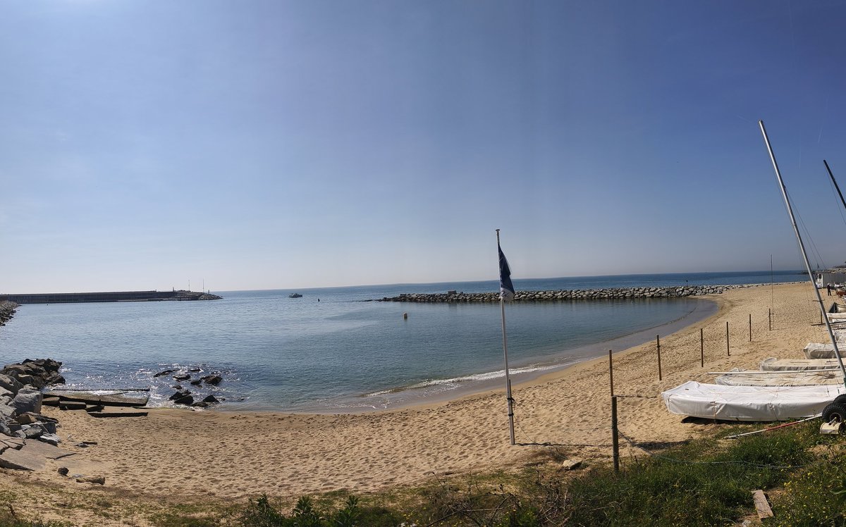 Anna Paradís tweet media