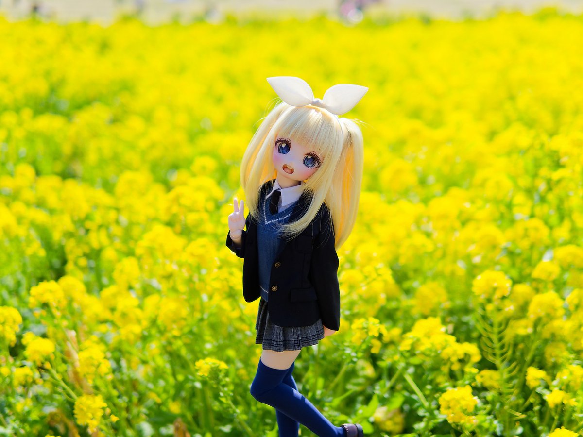 みくみく tweet media