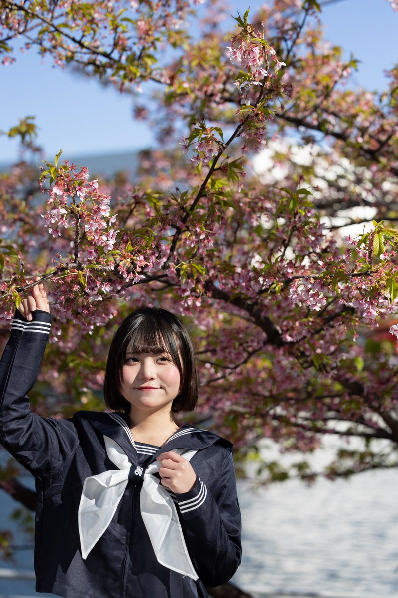 モゲラ tweet media