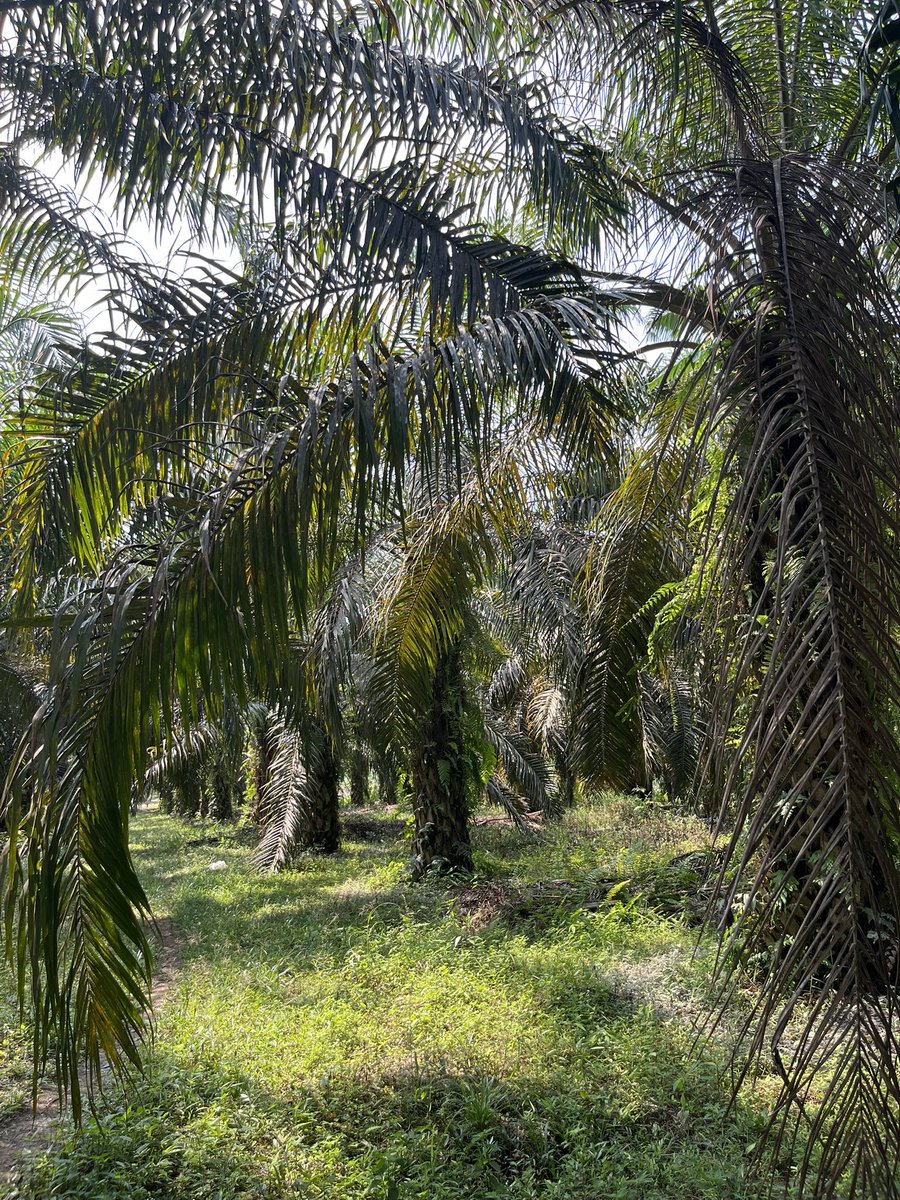 abcdefghiloveu tweet media