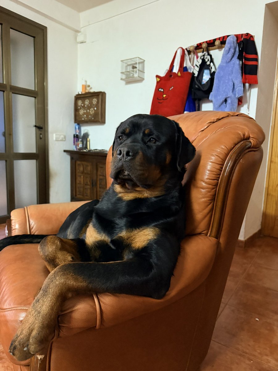 o_lara97's tweet photo. Si señor 😍 https://t.co/8OVaukEKBf