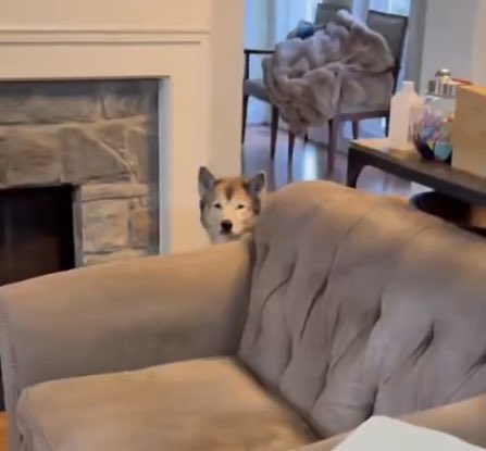 Evan Serpick tweet media