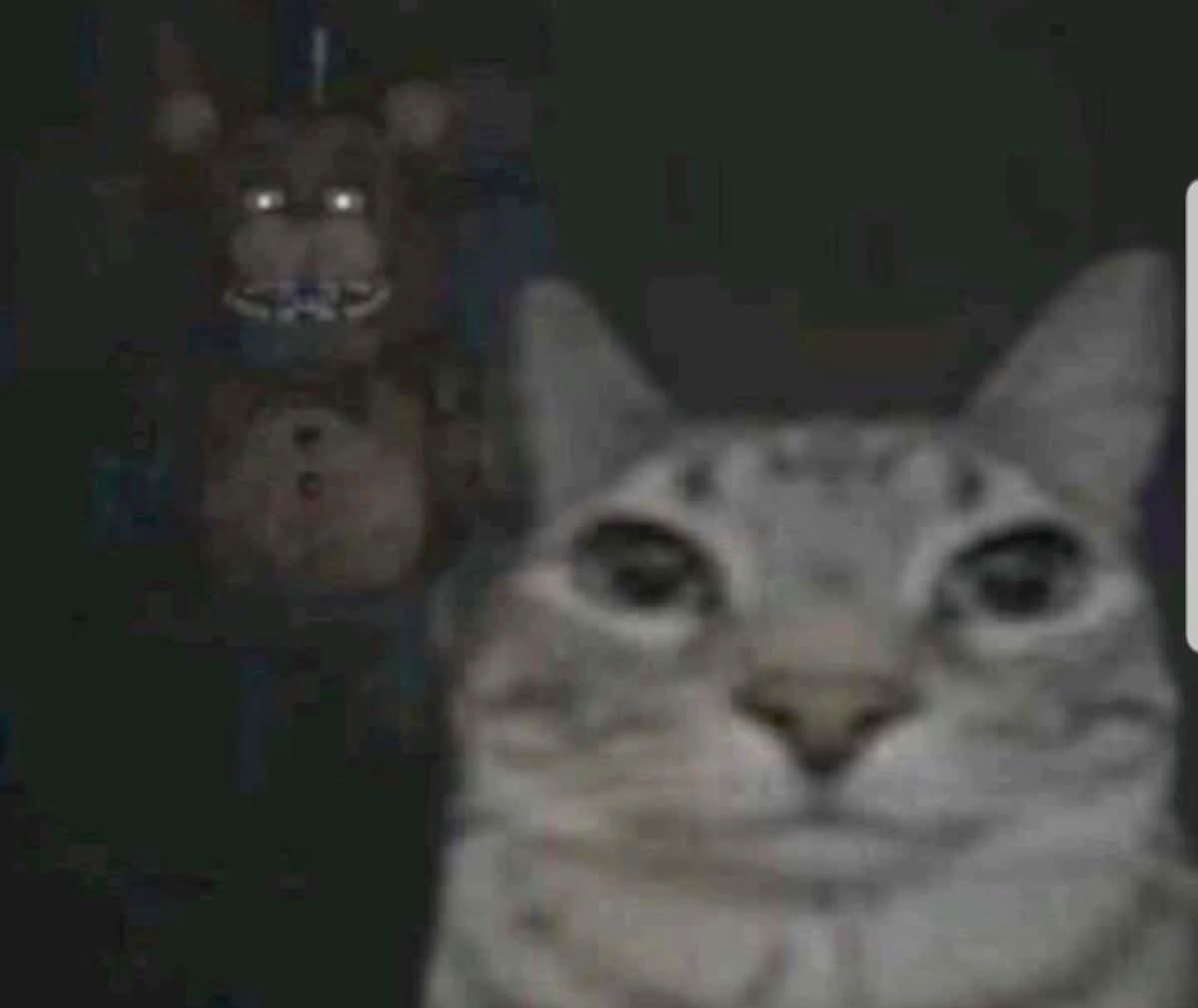 STG | Obelisk tweet media