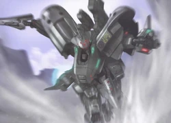 Schwarzes tweet media