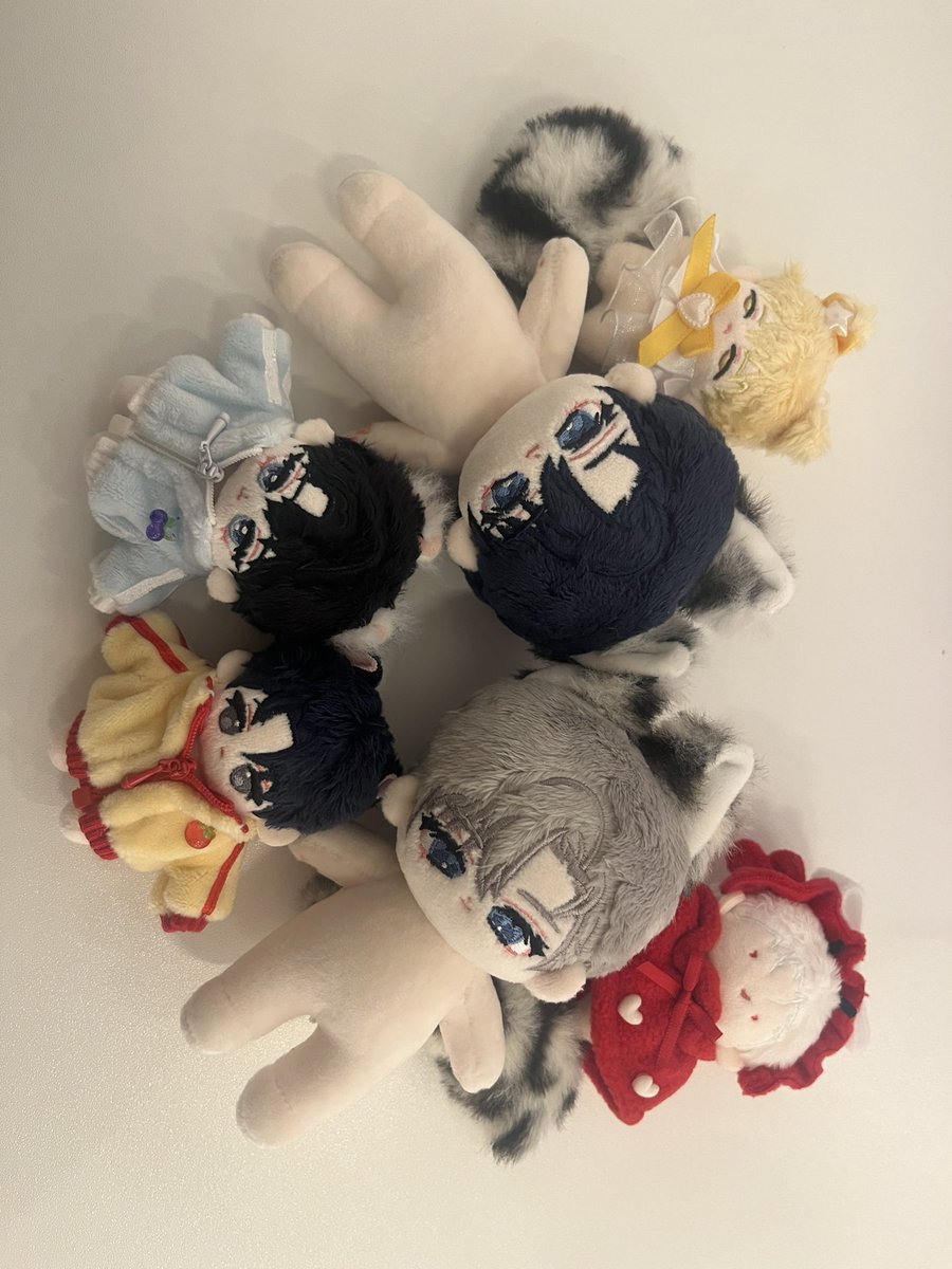 띨찍(백정) tweet media