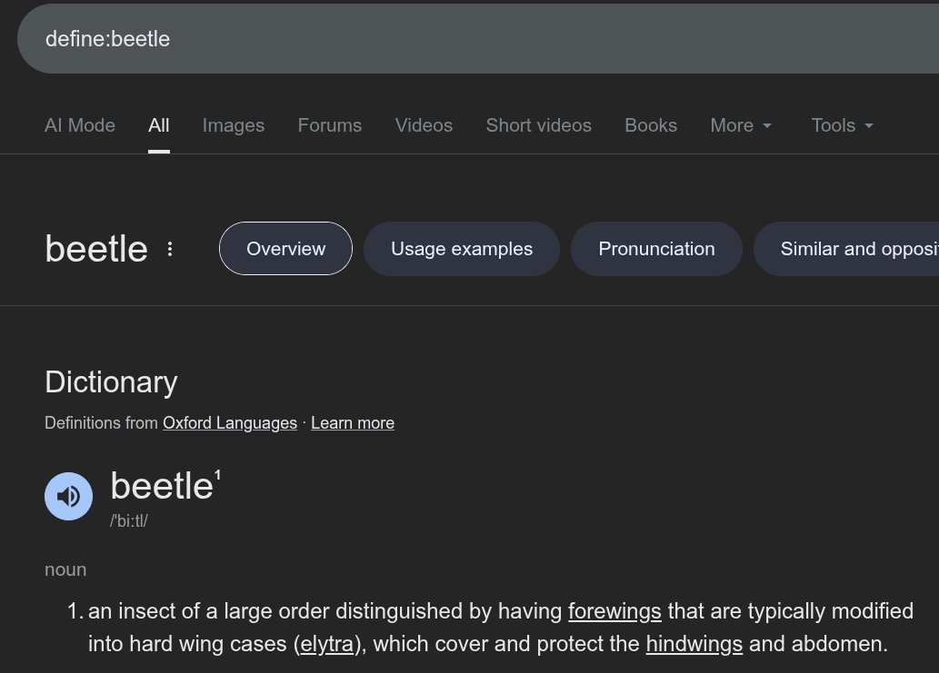 cat lawyer tweet media