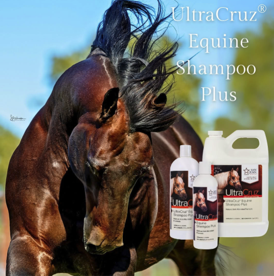 I love 𝑼𝒍𝒕𝒓𝒂𝑪𝒓𝒖𝒛® 𝑬𝒒𝒖𝒊𝒏𝒆 𝑺𝒉𝒂𝒎𝒑𝒐𝒐 𝑷𝒍𝒖𝒔! The tea tree formula really cleans my horse's coat without stripping it, and it just rinses so easily. It makes bath time quick and easy, but your horse looks like a million bucks. Best value out there! - Barn Rat