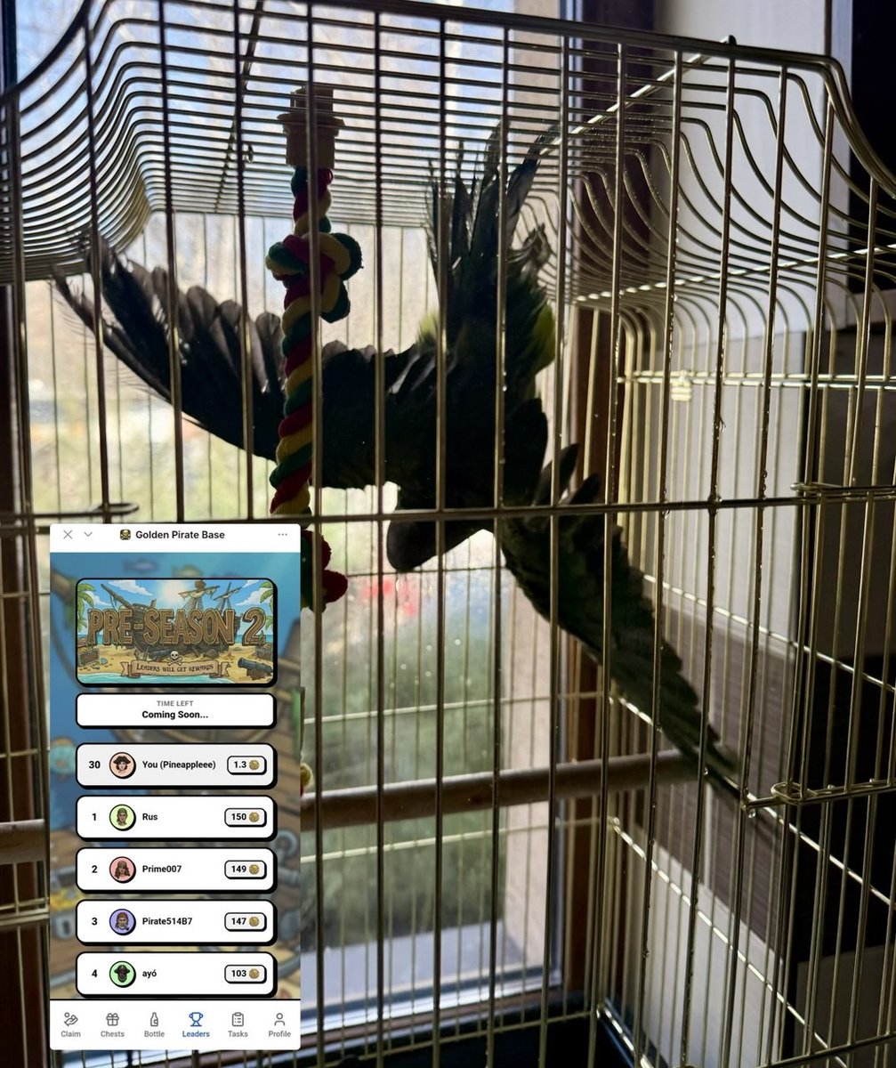 Pineappleeee tweet media