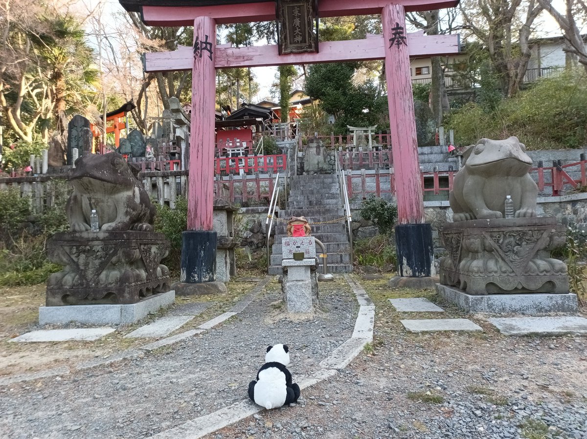 くーにゃん tweet media