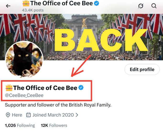 Cee Bee 2.0 tweet media
