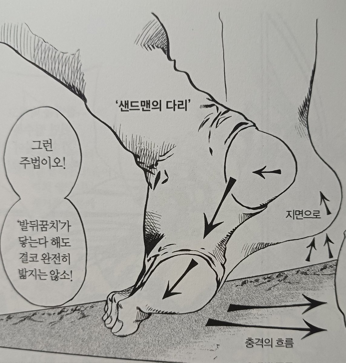 옥돌죠 tweet media