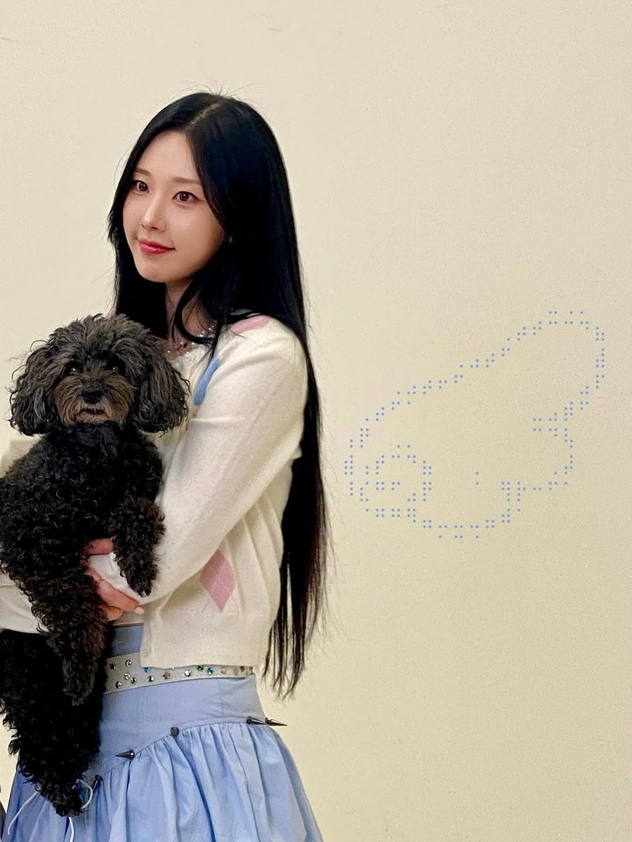 momoland pics tweet media