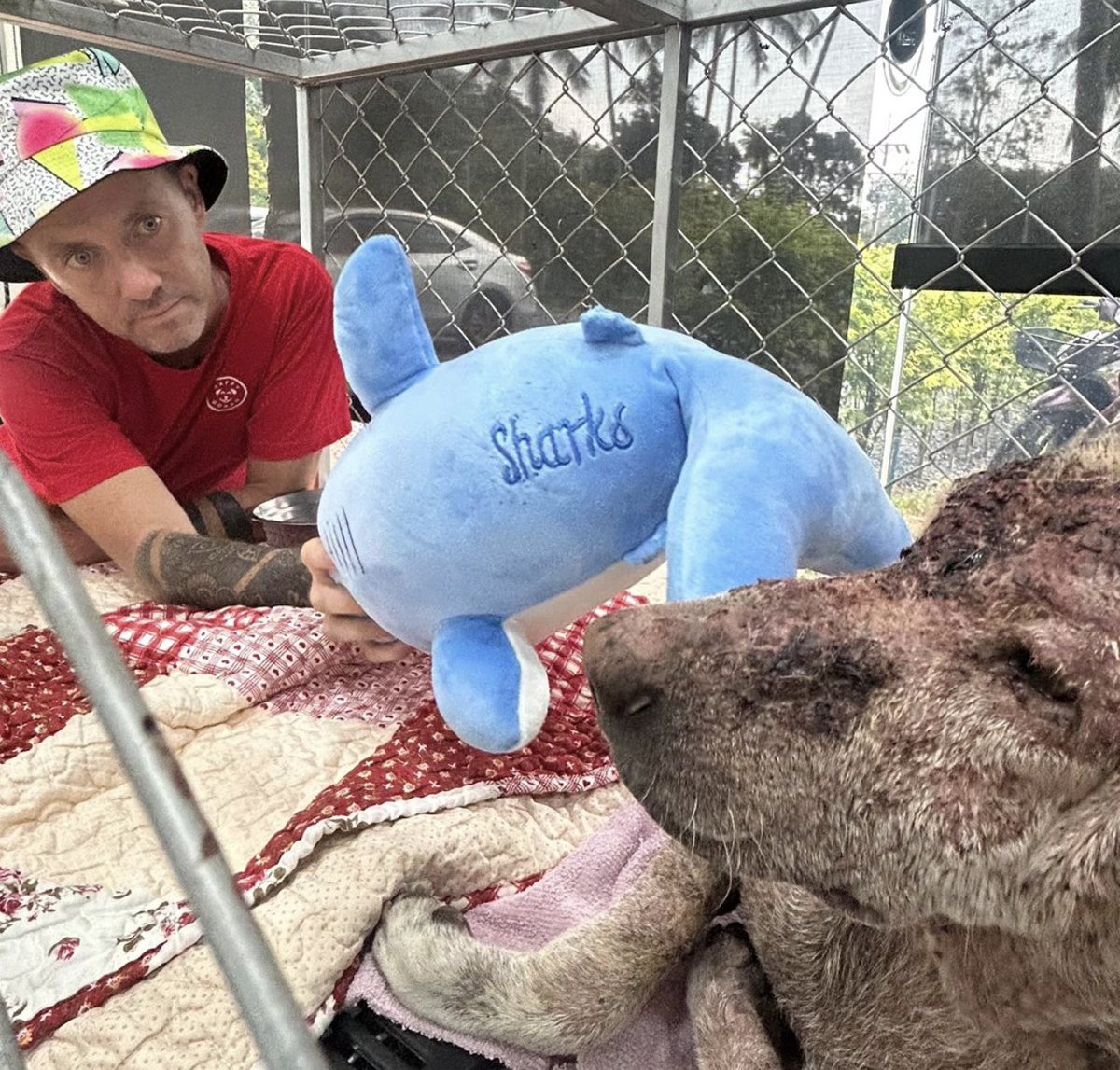 American Independent📚 tweet media