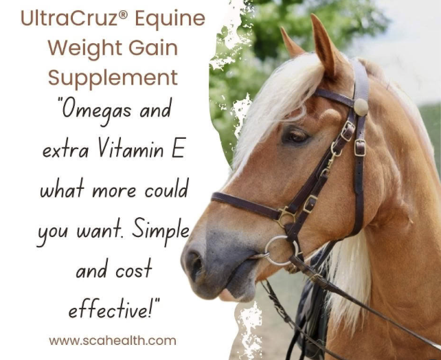 𝙐𝙡𝙩𝙧𝙖𝘾𝙧𝙪𝙯® 𝙀𝙦𝙪𝙞𝙣𝙚 𝙒𝙚𝙞𝙜𝙝𝙩 𝙂𝙖𝙞𝙣 𝙎𝙪𝙥𝙥𝙡𝙚𝙢𝙚𝙣𝙩: Omegas and extra Vitamin E what more could you want. Simple and cost effective! - Danielle

#PoweredByUltraCruz
#UltraCruz
#ChoiceofChampions
#SantaCruzAnimalHealth
