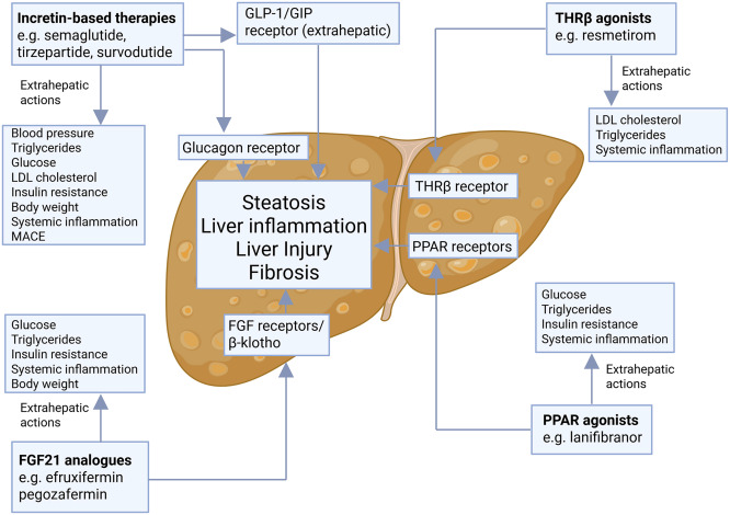 Cell Metabolism tweet media