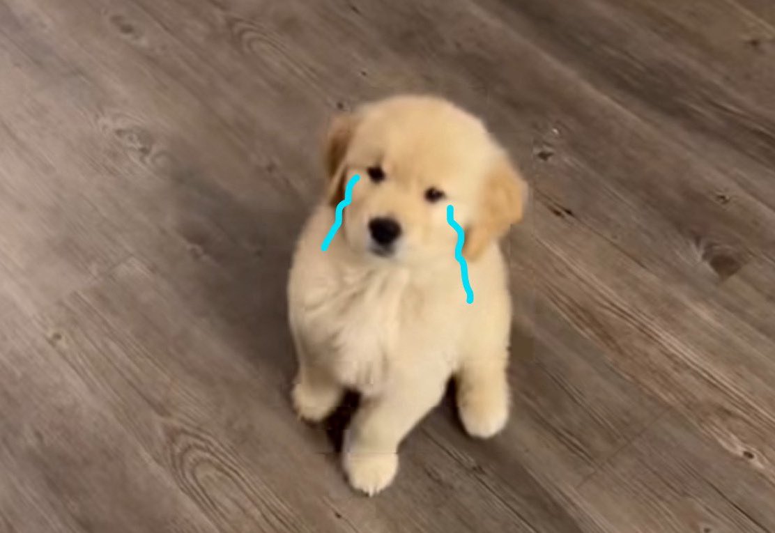 เก้ารัญชน์ tweet media