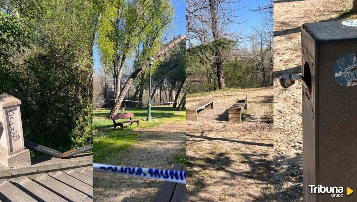 Tribuna Valladolid tweet media