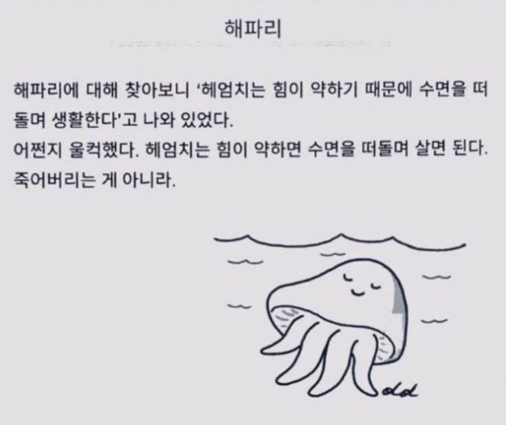 chosingbok🕯️ tweet media