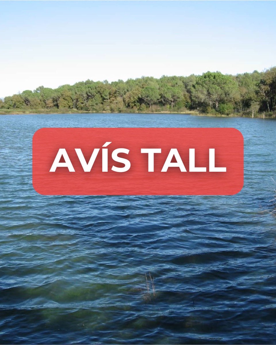 Ajuntament Porqueres tweet media