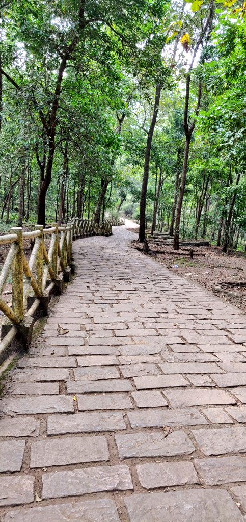 Ananth_IRAS's tweet image. "Take only pictures, leave only footprints."

Share a picture you took of a trail or path you enjoy! #trail #Photography 

Kerala, December 2019!