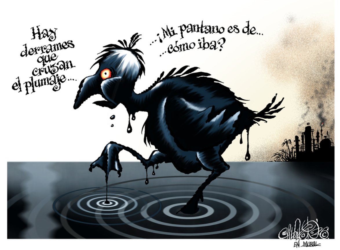 Araceli✨ tweet media