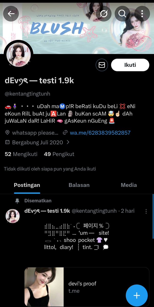 kewarasan ilang dibawa lari cowok kpop tweet media