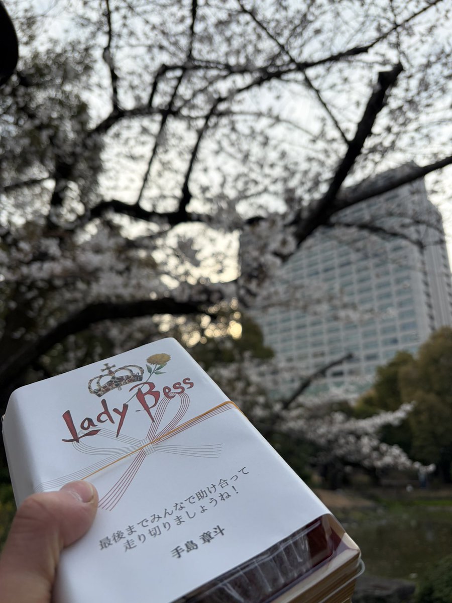 相良 飛鷹 tweet media