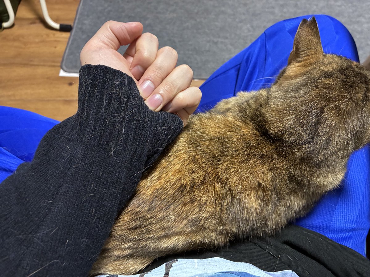 TAKA HARU♌ tweet media