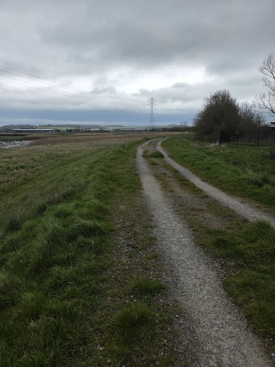 Indy ⭐ tweet media