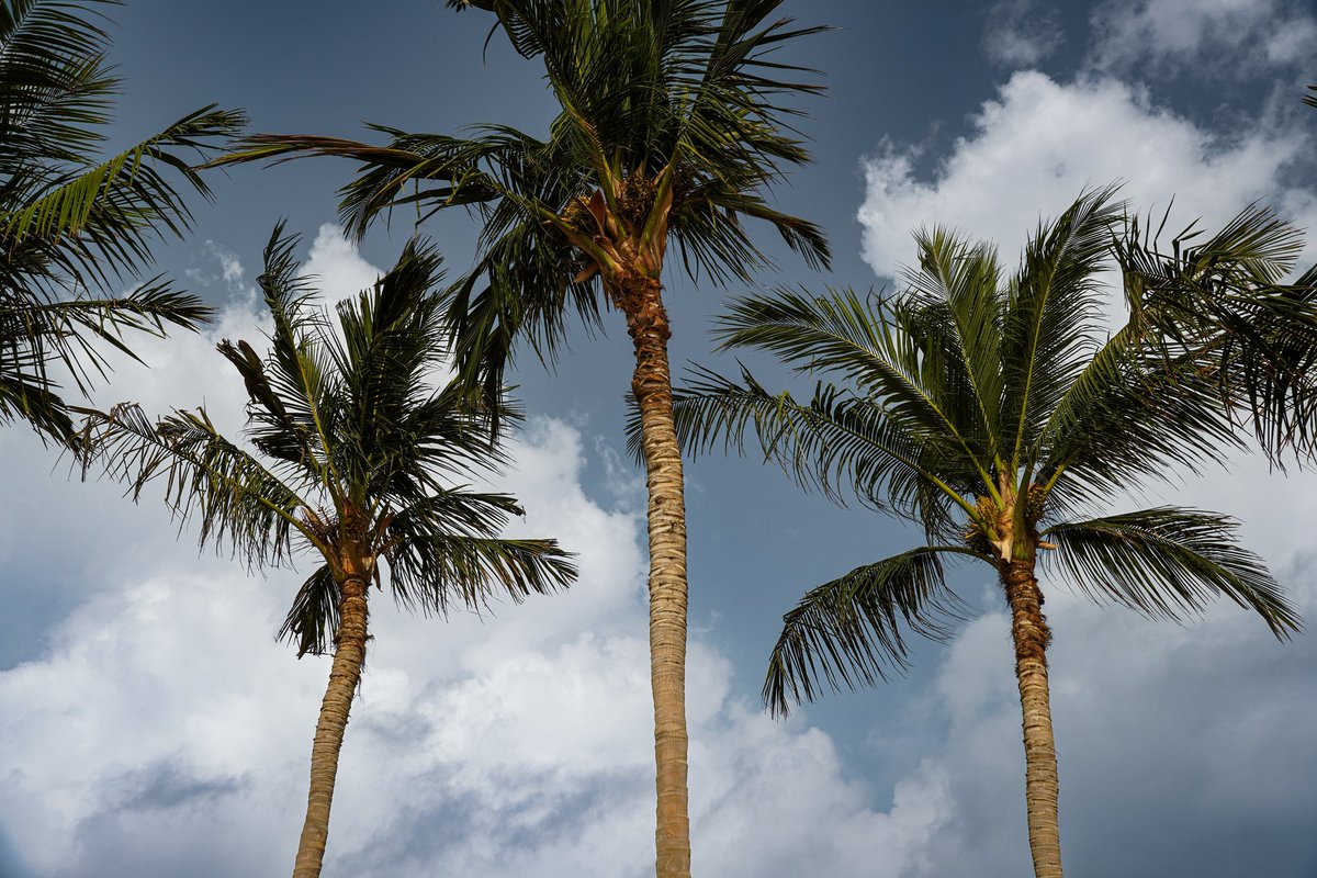 Ibrahim ALjahdali | ابراهيم الجحدلي tweet media