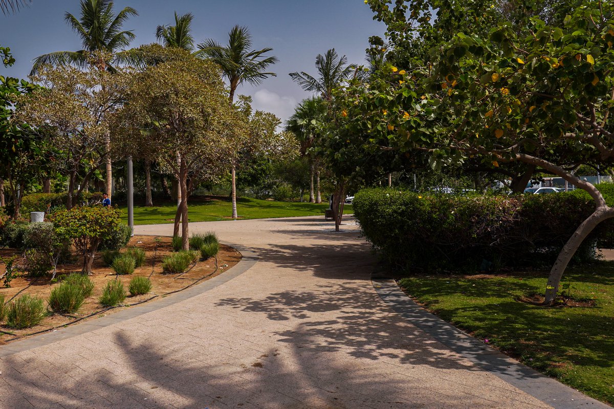 Ibrahim ALjahdali | ابراهيم الجحدلي tweet media