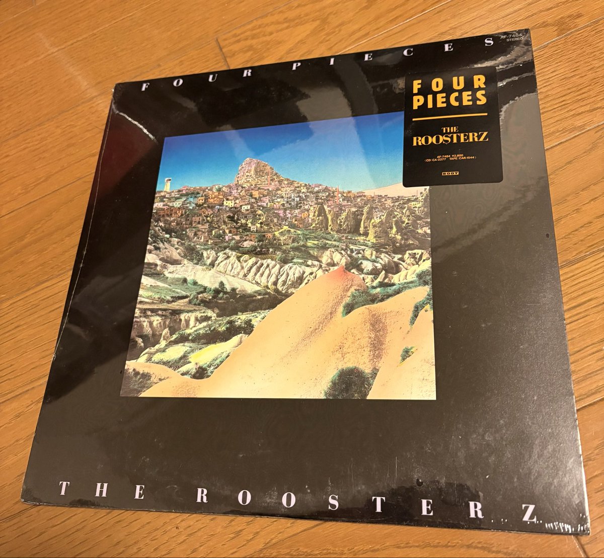 ぢーこ tweet media