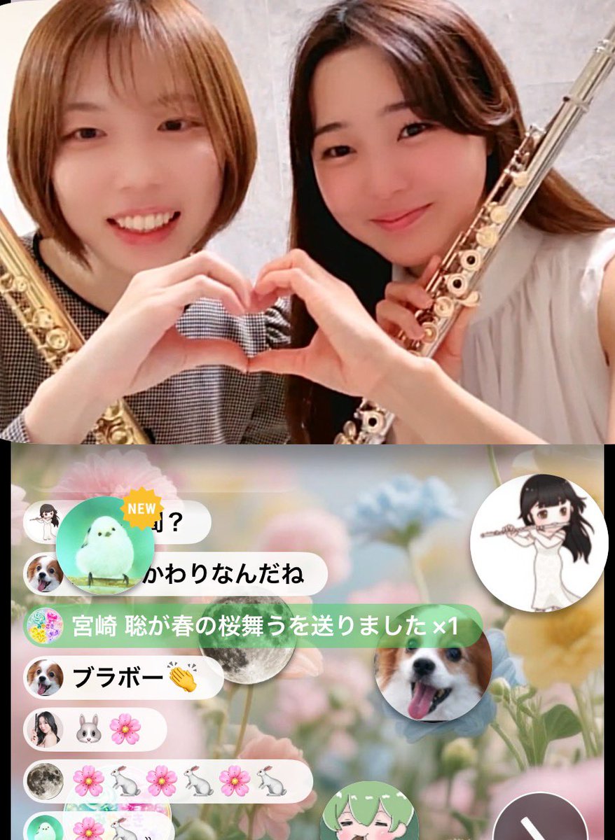 wanko (@wanko1016) / Posts / X