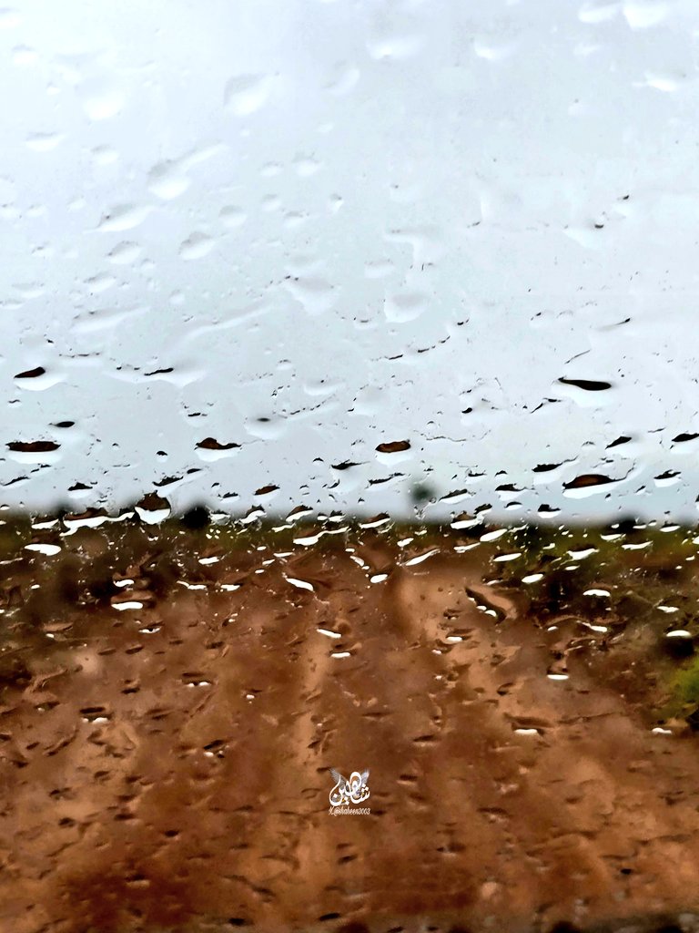 𝑺𝒂𝒍𝒆𝒎 𝑨𝒍_𝑺𝒖𝒏𝒂𝒊𝒅𝒆 tweet media