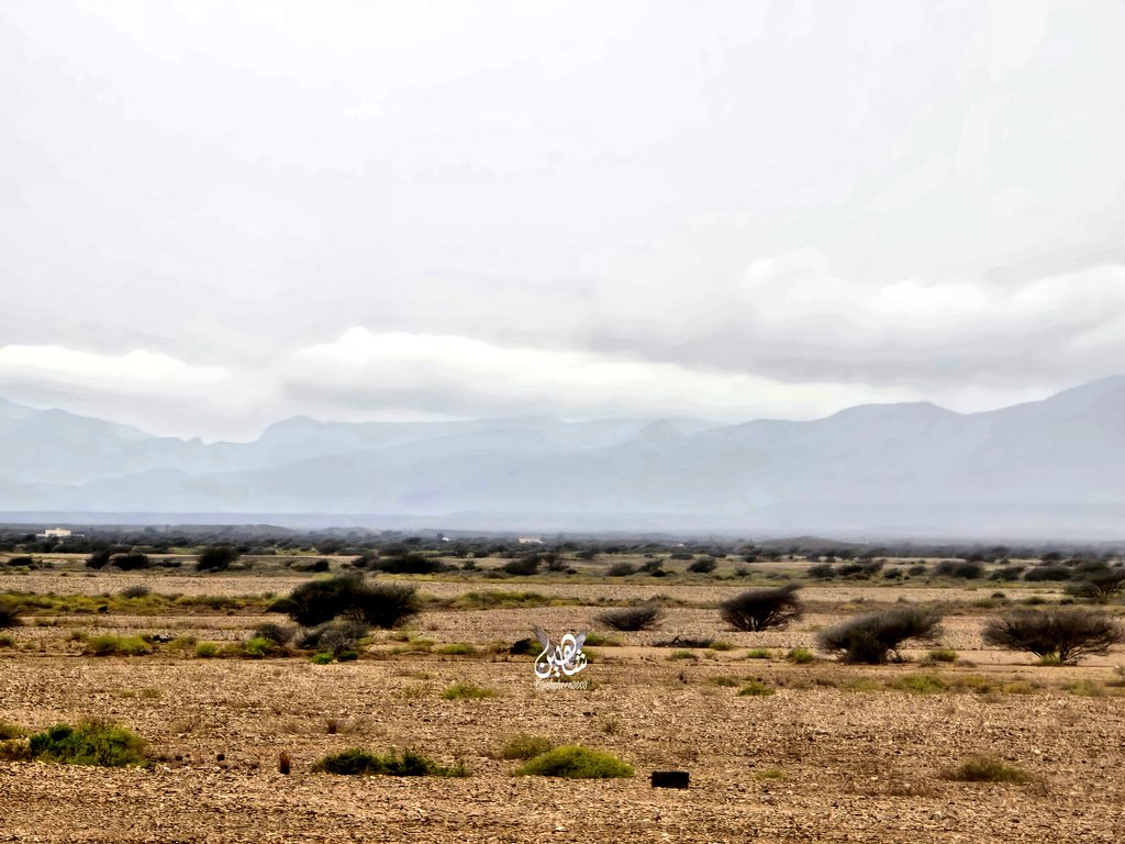 𝑺𝒂𝒍𝒆𝒎 𝑨𝒍_𝑺𝒖𝒏𝒂𝒊𝒅𝒆 tweet media