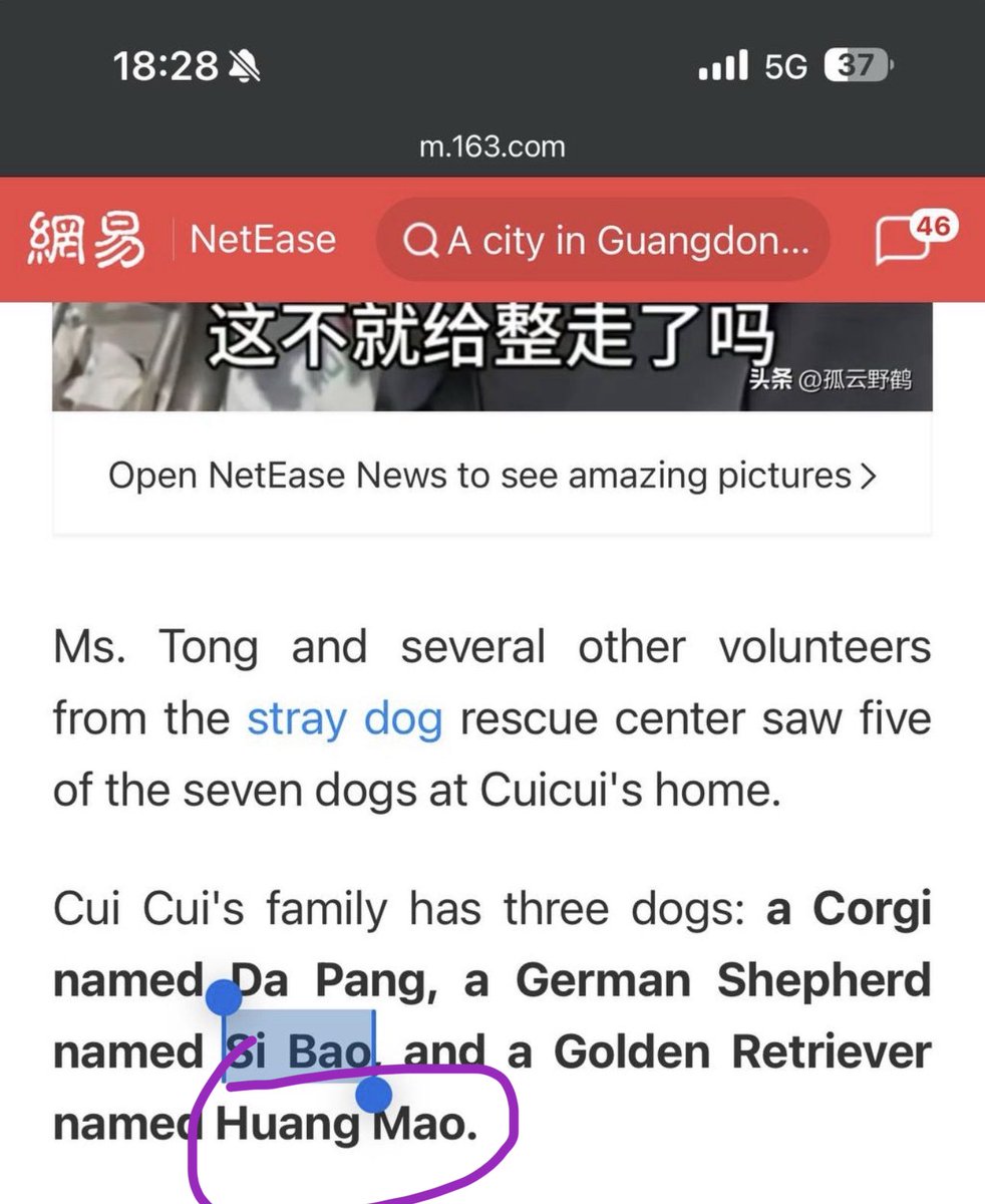 NotOptify tweet media