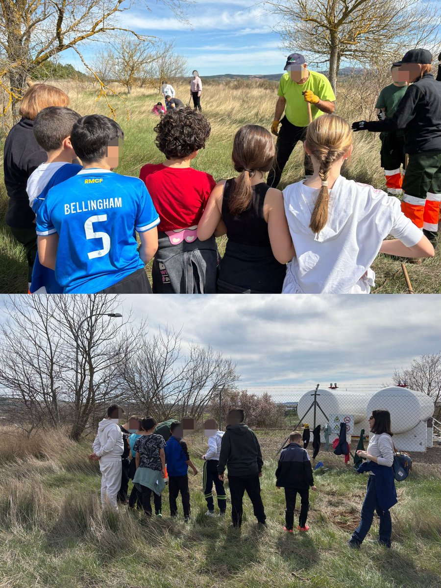El 21 de marzo fue el Día del Árbol y para celebrarlo, los niños y niñas de 3°, 4°, 5° y 6° fueron a plantar árboles al pueblo 🌳
En abril les tocará el turno a los alumnos y alumnas de Infantil, 1° y 2° de primaria, que también pondrán su granito de arena con otra actividad 🍀