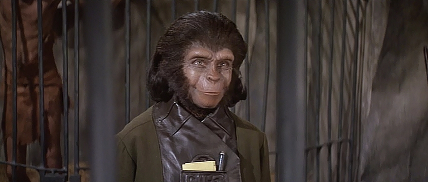 そえじまただし tweet media